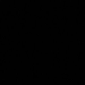 Meet your Posher, Carmen